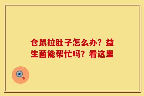 仓鼠拉肚子怎么办？益生菌能帮忙吗？看这里