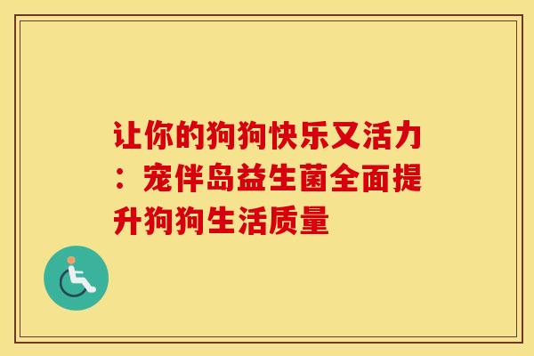 让你的狗狗快乐又活力：宠伴岛益生菌全面提升狗狗生活质量