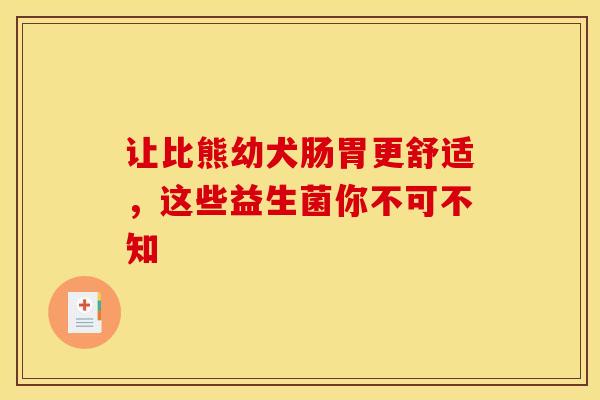 让比熊幼犬肠胃更舒适，这些益生菌你不可不知