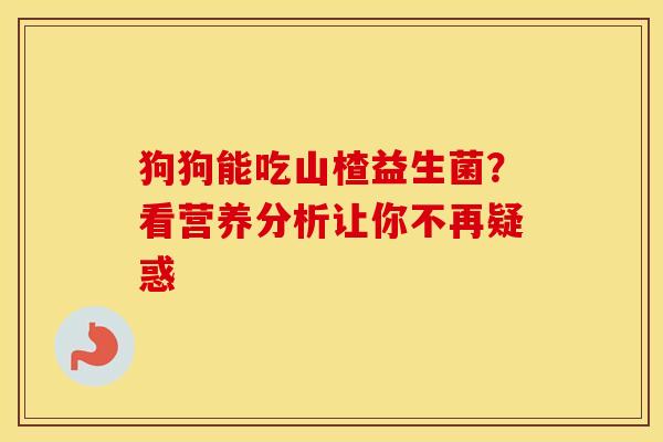 狗狗能吃山楂益生菌？看营养分析让你不再疑惑