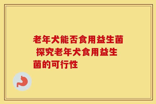 老年犬能否食用益生菌 探究老年犬食用益生菌的可行性