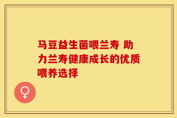 马豆益生菌喂兰寿 助力兰寿健康成长的优质喂养选择