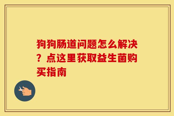 狗狗肠道问题怎么解决？点这里获取益生菌购买指南
