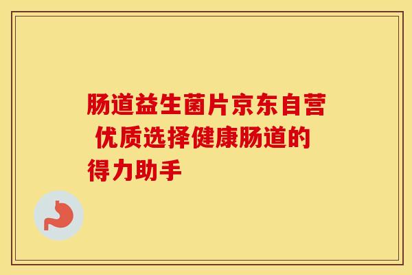 肠道益生菌片京东自营 优质选择健康肠道的得力助手