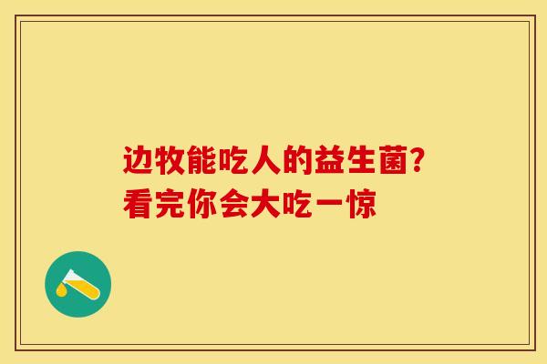 边牧能吃人的益生菌？看完你会大吃一惊
