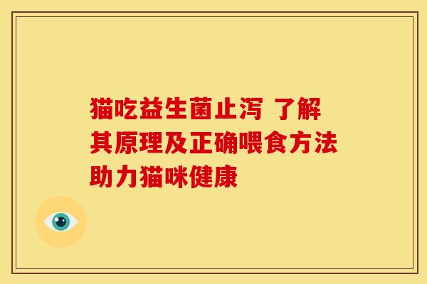 猫吃益生菌止泻 了解其原理及正确喂食方法助力猫咪健康